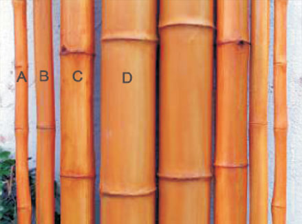 Artificial Bamboo